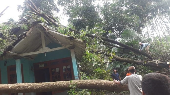 Warga membantu mengevakuasi pohon yang roboh. 