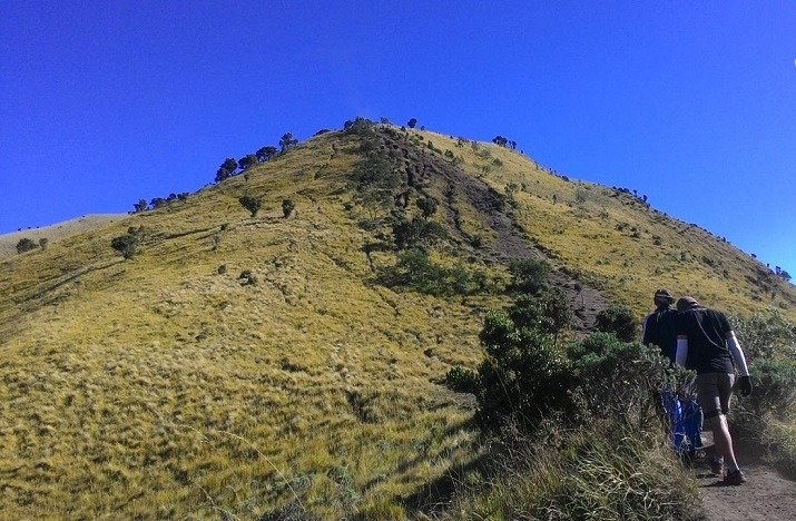 Pendakian Gunung Lawu via Cemoro Sewu.
