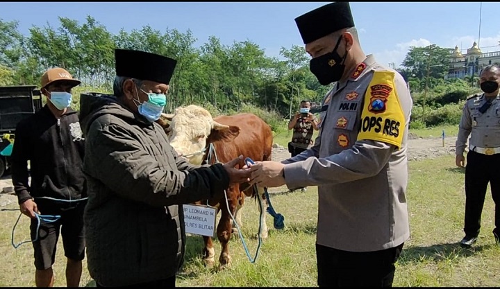 Kapolres Blitar AKBP Leonard M Sinambela SH S.IK MH memberikan bantuan hewan kurban. SP/Hadi Lestariono