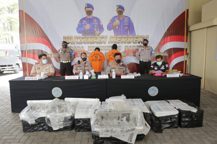 Polisi saat merilis pengungkapan penjualan benih lobster atau benur ilegal di Surabaya, Rabu (6/10/2021).