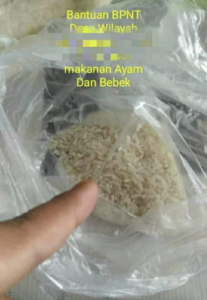 Beras BPNT yang berkualitas rendah yang diposting di akun Facebook Mas Memet. SP/Grs