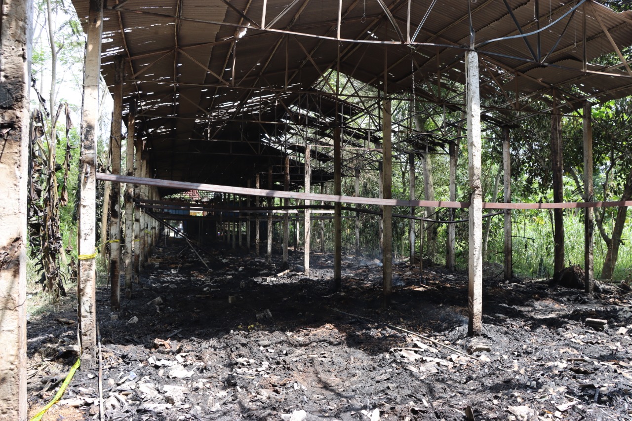Kandang ayam di Blitar hangus terbakar, belasan ribu ayam mati terpanggang. SP/Hadi Lestariono