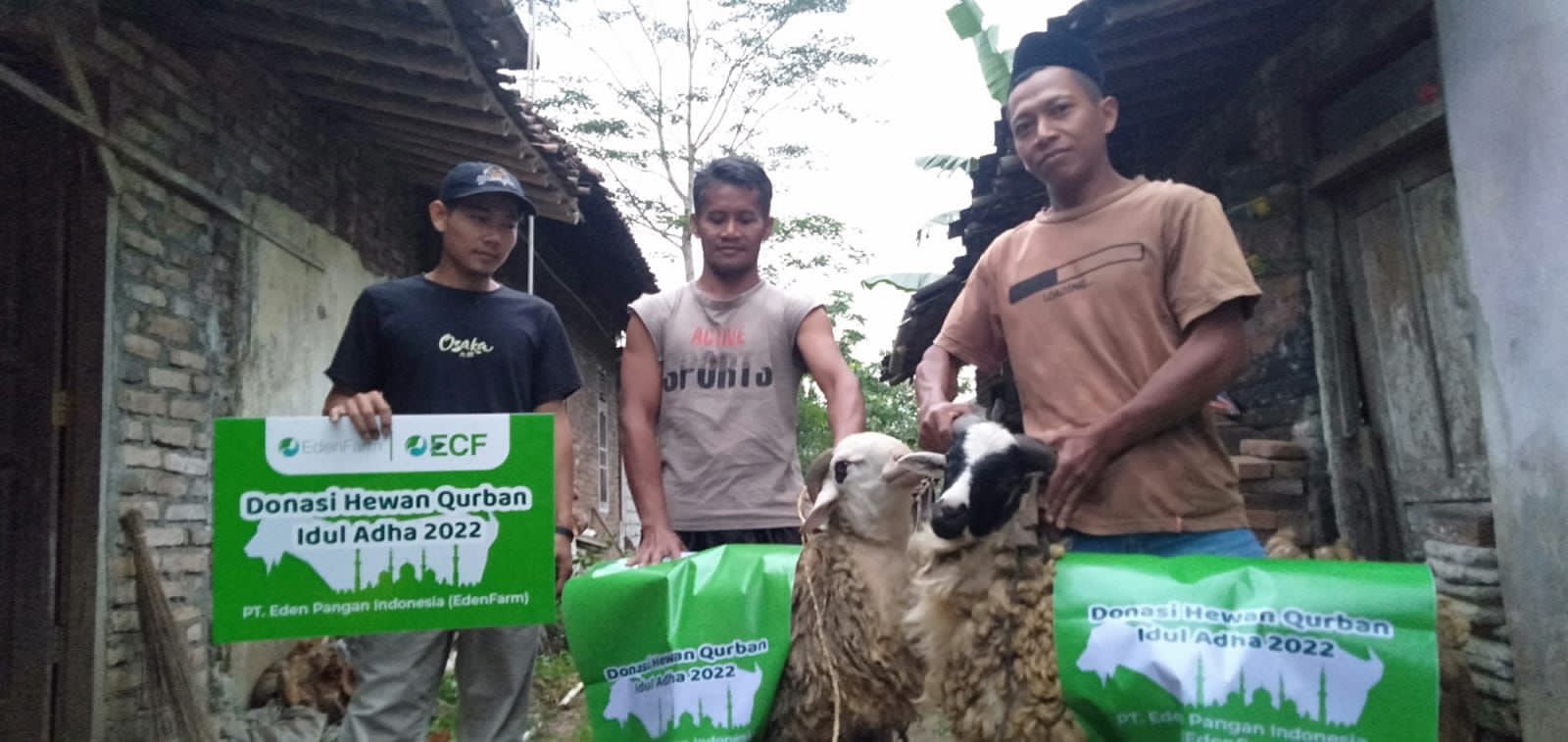 Serah terima donasi hewan kurban dari EdenFarm untuk mitra tani ECF.
