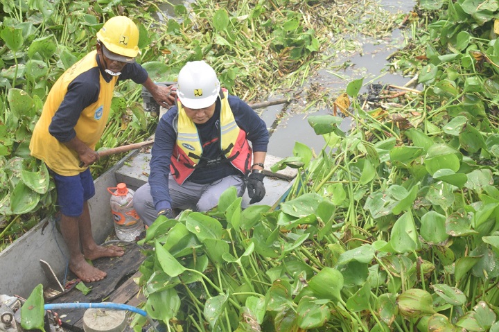 Bupati saat terjun langsung bersihkan Enceng gondok. SP/MUHAJIRIN KASRUN