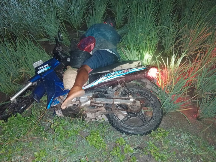 Posisi korban tengah tertelungkup ke area sawah. SP/MUHAJIRIN