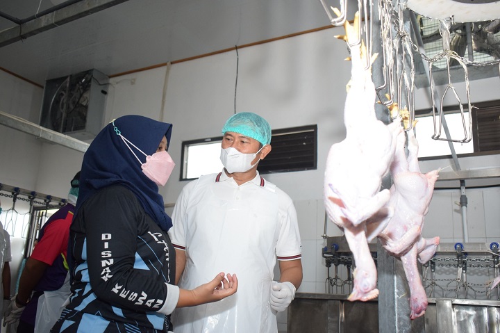 Bupati saat melihat langsung kegiatan RPH-Unggas yang baru diresmikannya. SP/MUHAJIRIN KASRUN