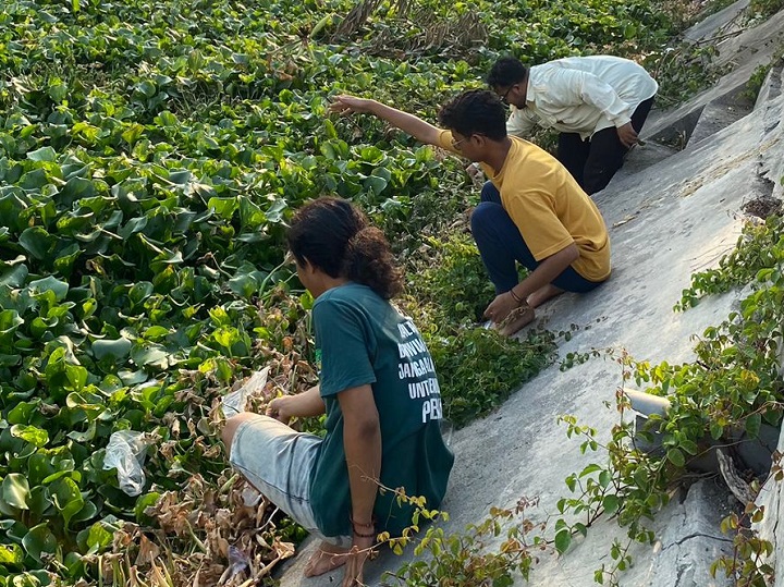 Karang Taruna setempat saat meninjau sungai Kalisari Damen, Kelurahan Kalisari, Kecamatan Mulyorejo, Surabaya, yang menjadi lautan eceng gondok, Minggu (22/10). 