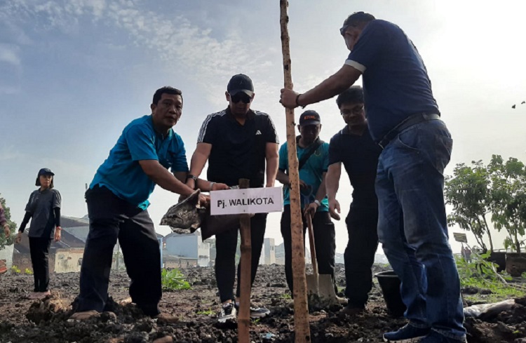Penjabat (Pj.) Wali Kota Mojokerto, Moh. Ali Kuncoro bersama Aparatur Sipil Negara (ASN) Pemkot Mojokerto melakukan penanaman pohon tabebuya. SP/ DWI