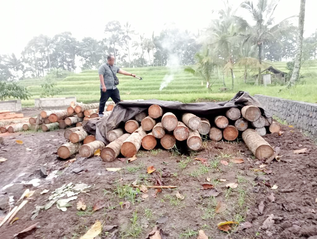 Penebangan liar di lahan milik PT Bumi Sari Banyuwangi.