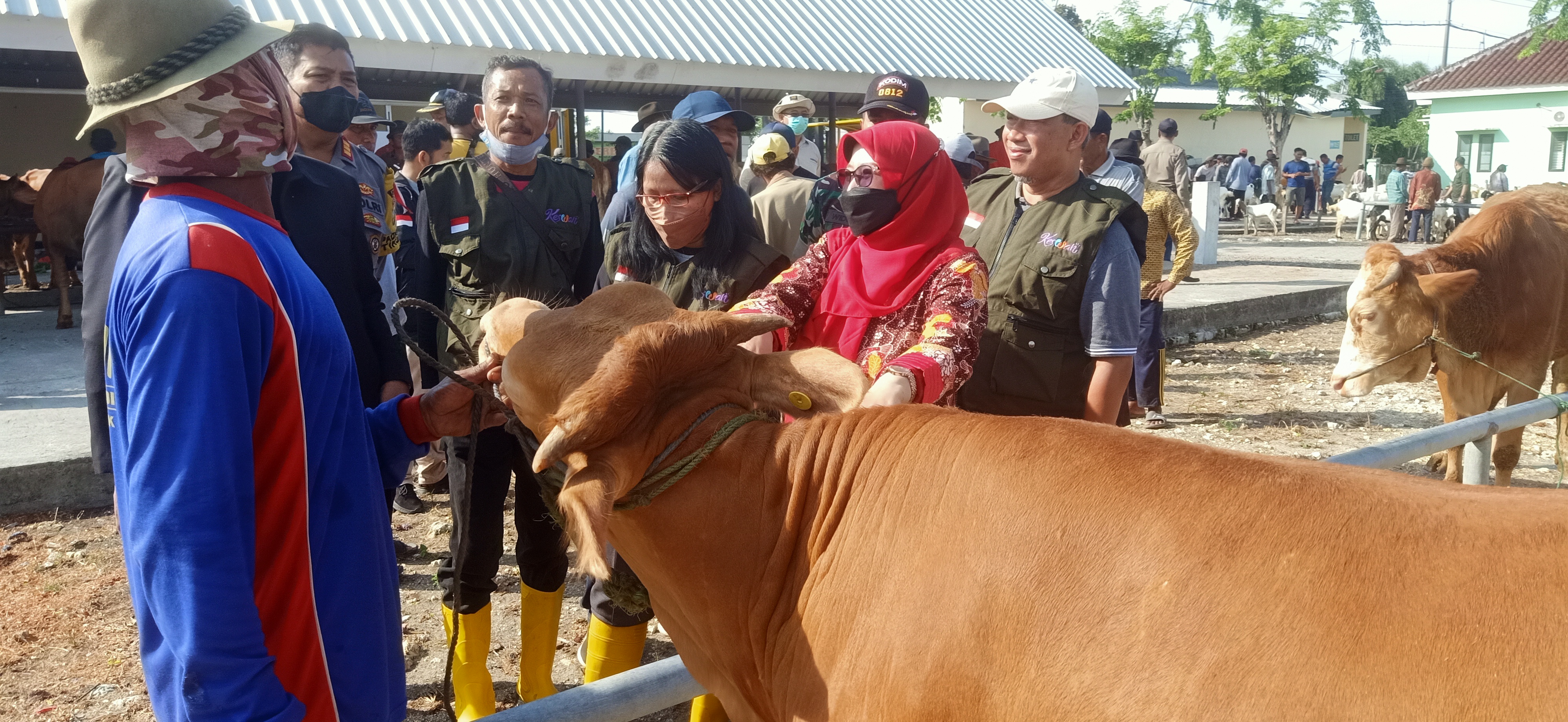 Geliat Pasar Hewan di Lamongan mulai dirasakan seiring dengan telah dibukanya pasar yang selama 5 bulan ditutup. SP/Muhajirin Kasrun.