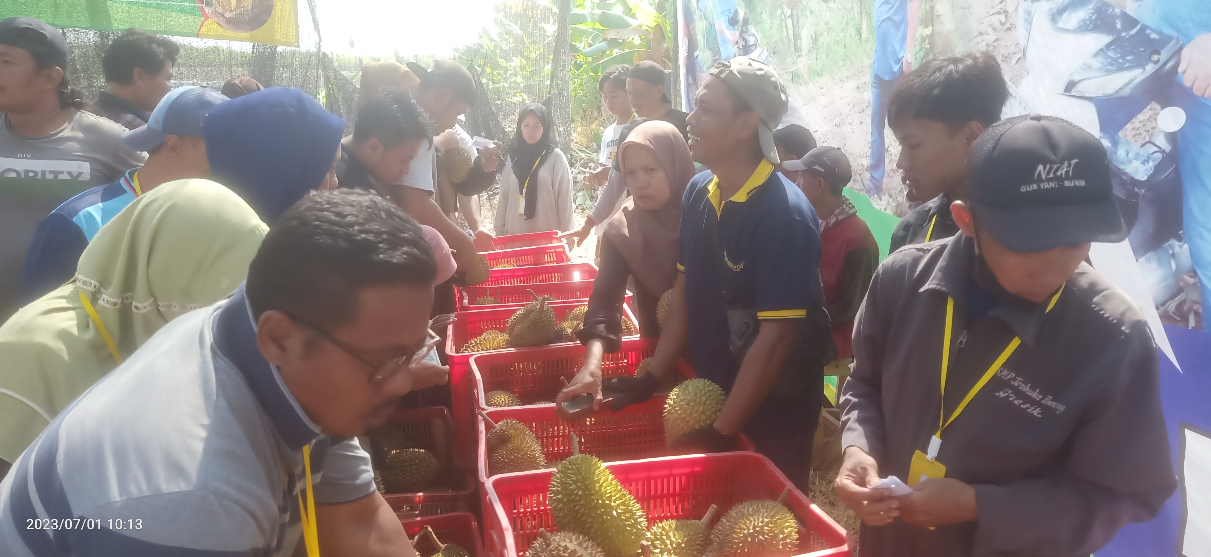 Warga memanfaatkan durian murah di wisata agro petik buah di Desa Brangsi Laren Lamongan.

FOTO:SP/IST