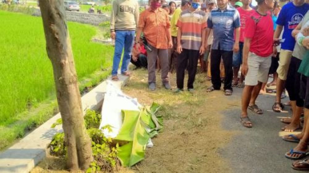 Tempat korban meninggal dunia mendadak di pinggir jalan Desa Kedungbetik, Kesamben, Jombang. (SP/Istimewa) 
