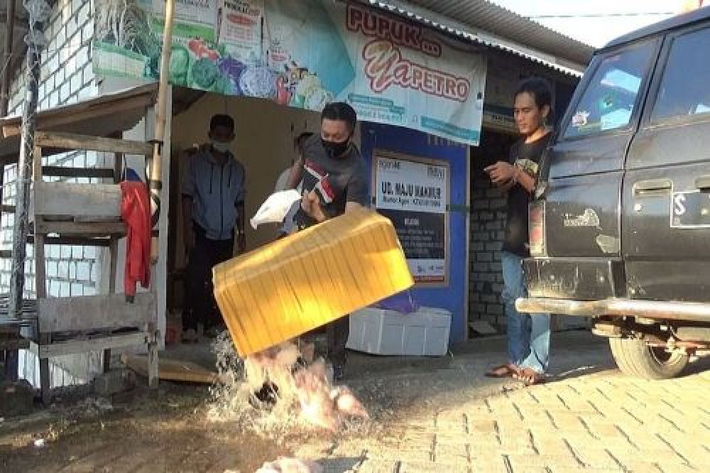 Daging ayam busuk BPNT yang dibuang.