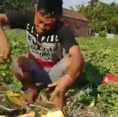 Foto seorang petani di Jombang yang membacok blewah diambil dari vulideo yang viral di medsos.