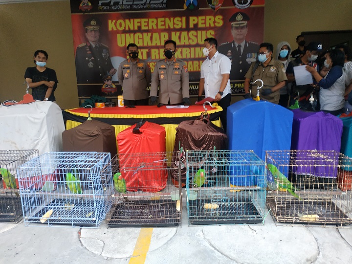 Polisi menunjukkan barang bukti sejumlah burung dilindungi yang dijual pelaku secara ilegal. SP/Sugeng Purnomo