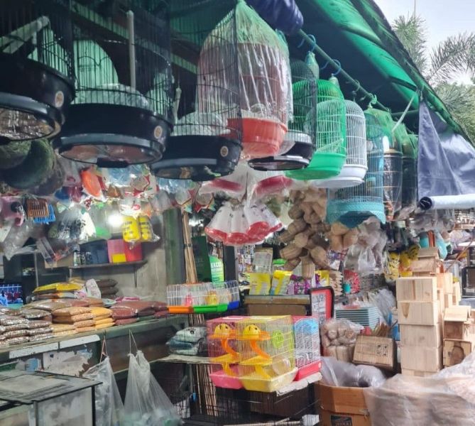 Suasana Pasar Burung Bratang Surabaya.