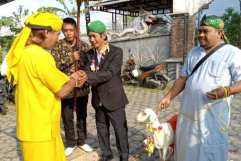 Proses pernikahan manusia dengan seekor kambing di Padepokan Ki Ageng, Desa Jogodalu, Kecamatan Benjeng, Gresik.
