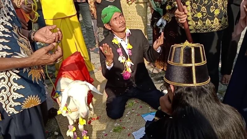Suasana perhelatan pernikahan manusia dengan seekor kambing di Gresik.