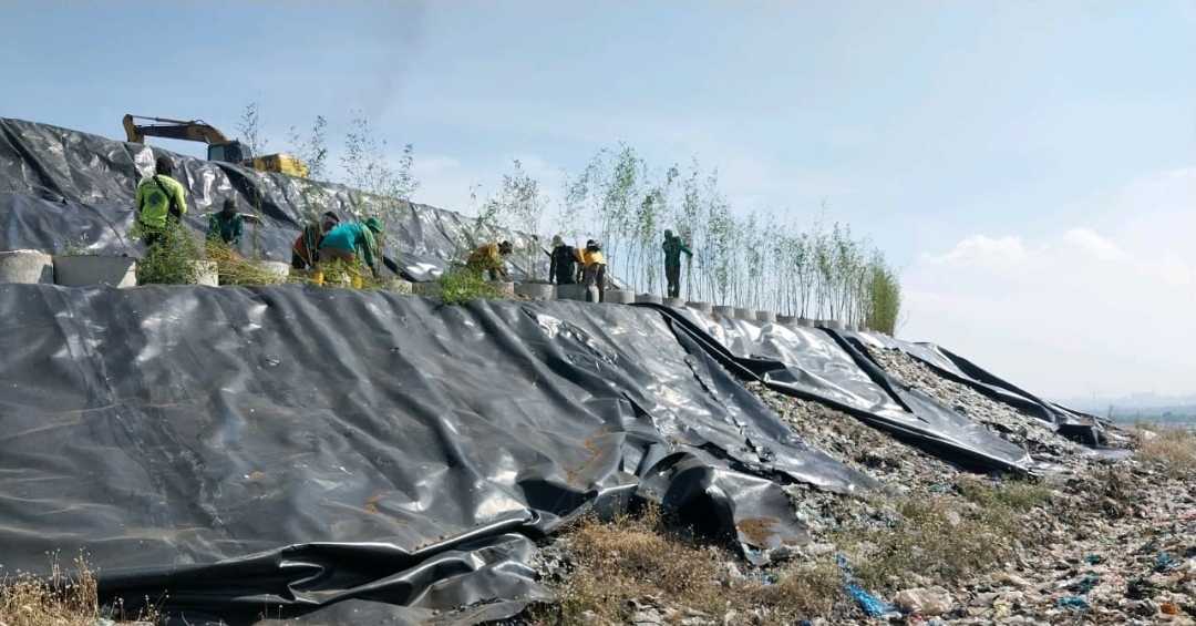 Pemasangan geomembran dan penanaman pohon di Pembangkit Listrik Tenaga Sampah (PLTSa) Benowo kian gencar dilakukan.SP/RES
