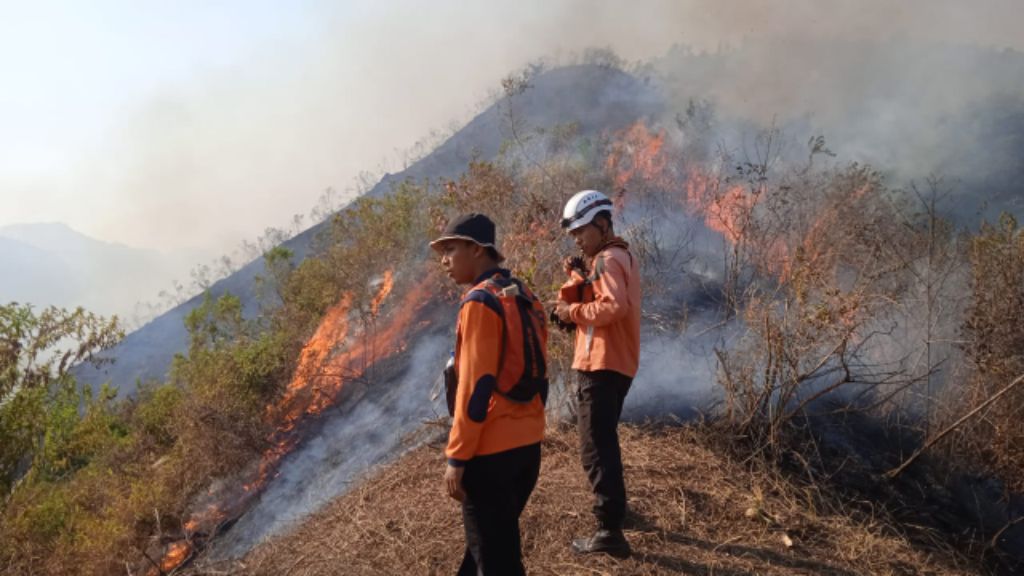 Hutan di kawasan Gunung Anjasmoro, Kabupaten Jombang terbakar sejak Jumat 27 Oktober 2023 sekira pukul 20.00 WIB. 