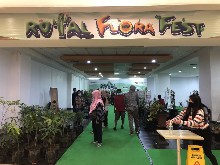 Acara 'Royal Flora dan Fish Festival' berbagai macam tanaman dan ikan dipemerkan. Minggu (29/11/2020).SP/ MOCHAMMAD KASYFI FAHMI  