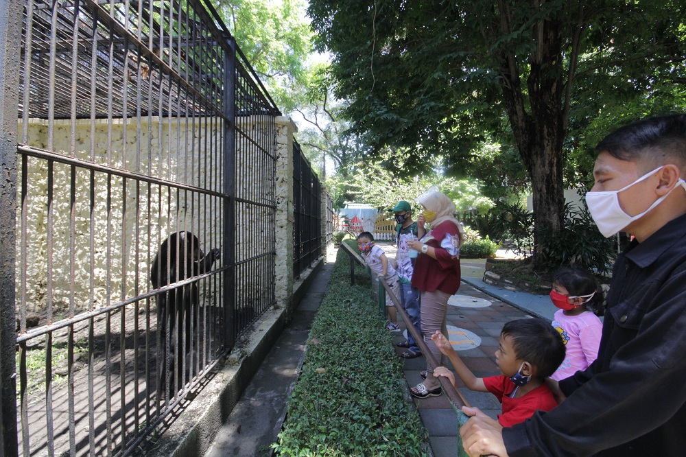 KBS akan batasi kuota pengunjung guna mengantisipasi penyebaran Covid - 19. .SP/Byta Indrawati.