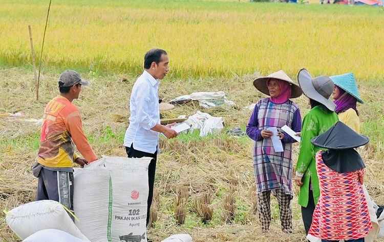 Momen Presiden RI Joko Widodo (Jokowi) ikut memanen padi dengan para petani saat melintasi Jalan Lingkar Baru Soreang. SP/ JKT