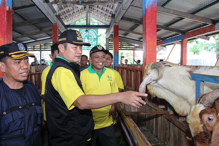 Bupati saat melihat dari dekat peternakan kambing yang dijadikan wisata edukasi di Lamongan. SP/MUHAJIRIN KASRUN