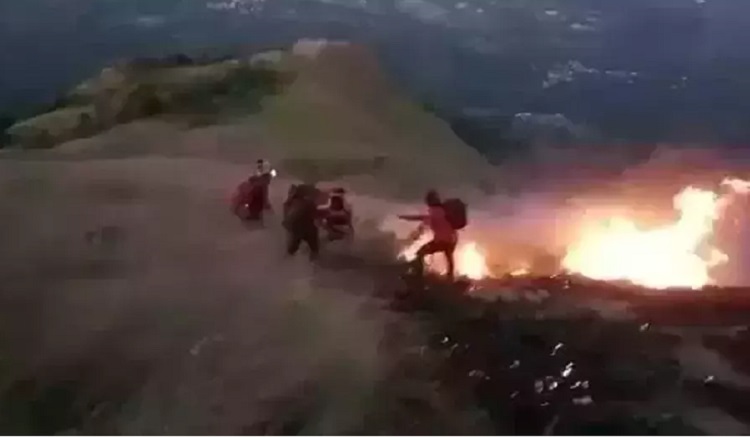 Hutan dan lahan di Gunung Bekel Petak 1 RPH Ngoro BKPH Penanggungan KPH Pasuruan masuk Dusun Biting, Kabupaten Mojokerto terbakar. SP/ MJK