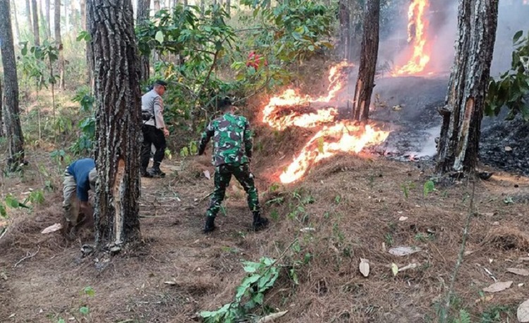Petugas gabungan saat berusaha memadamkan api yang menjalar di hutan dan lahan (karhutla) wilayah Trenggalek. SP/ TRG