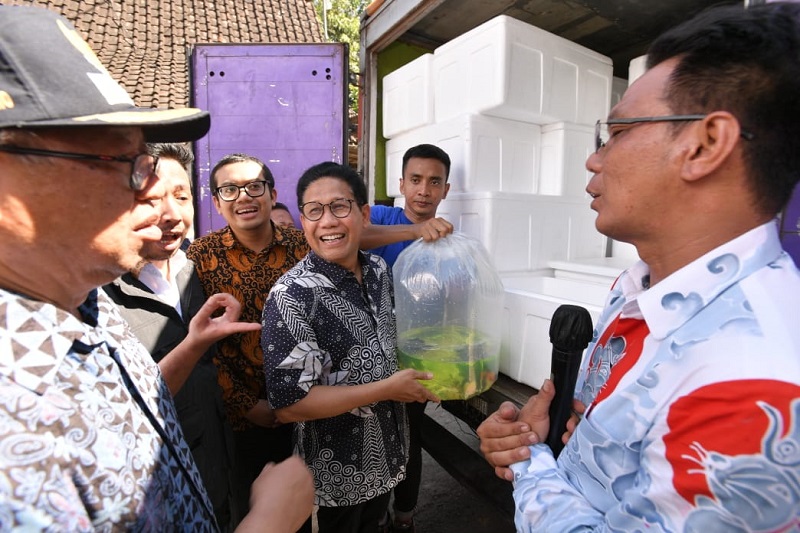 Pelepasan ekspor ikan mas koki di Desa Wajaklor, Boyolangu, Tulungagung, Minggu (12/3/2023).