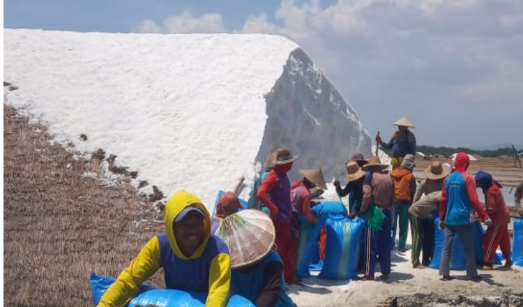 Petani garam saat panen menumpuk di Kabupaten Sampang, Madura, Jawa Timur. SP/ SMP
