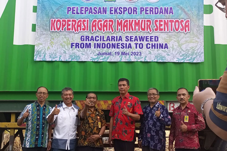 Ekspor perdana rumput laut asal Sidoarjo ke China. Foto:  Koperasi Agar Makmur Sentosa.