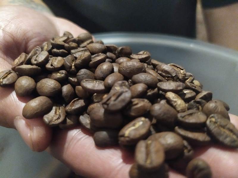 Biji kopi di Cafe Sidongopi, Malang, Jawa Timur. SP/Med/ Daviq Umar Al Faruq