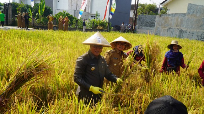 Lahan pertanian di Kota Malang. Foto: Pemkot Malang.