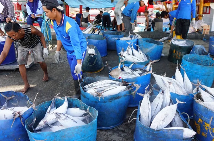 Nelayan menurunkan ikan hasil tangkapan laut di Muara Baru, Jakarta. SP/ JKT
