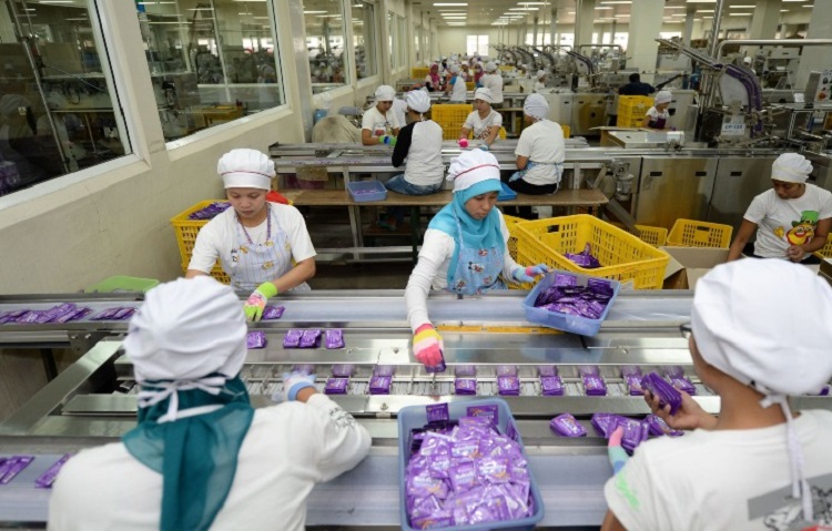 Ilustrasi. Pekerja memilah sachet minuman energi bubuk Kuku Bima Energ-G di sepanjang conveyor di bagian pengemasan pabrik PT Industri Jamu Dan Farmasi Sido Muncul Tbk. SP/ JKT