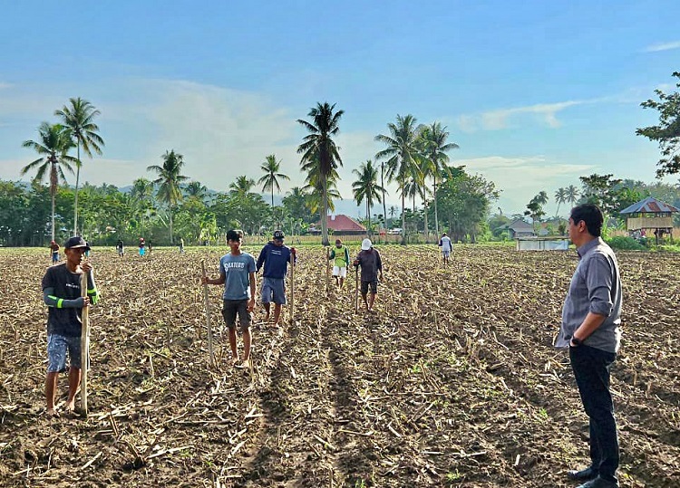 Program Upsus Kementan di Gorontalo. SP/ GRN