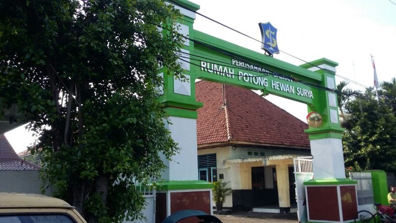 Rumah Potong Hewan (RPH) Pegirian. SP/RPH