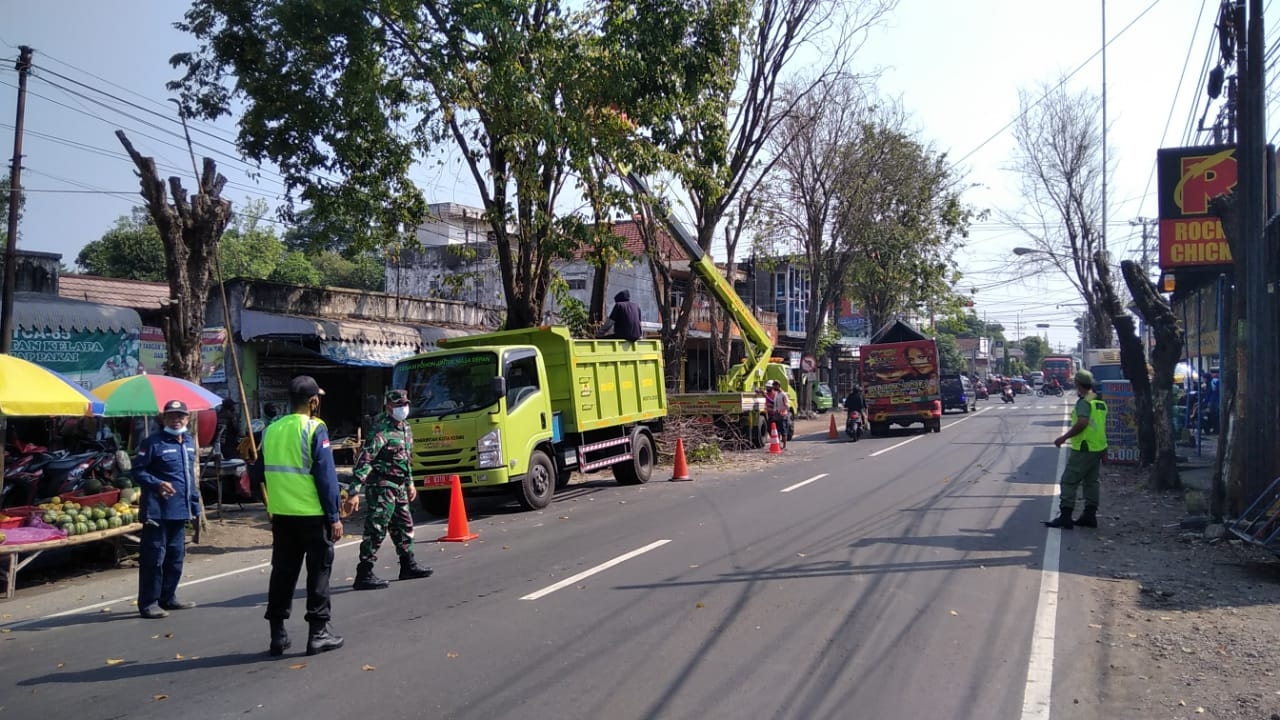 Petugas gabungan saat memangkas pohon 