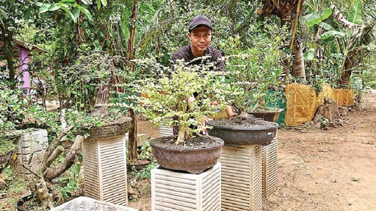 Sodikin yang tengah merawat tanaman bonsai miliknya. SP/ TRG