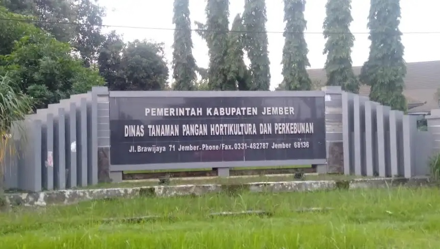 Ladang tembakau sebagai lokasi para petani tembakau menanam dan membudidayakan tembakau.