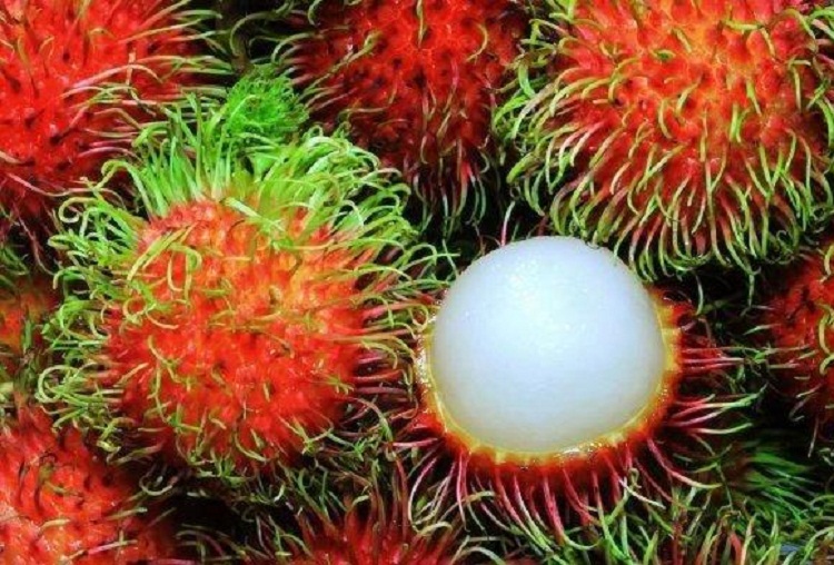 Buah Rambutan. SP/ SBY
