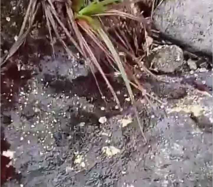 Tangkapan layar yang menunjukkan hujan es di jalur pendakian Gunung Arjuno - Welirang.