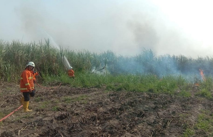 Petugas damkar saat berusaha memadamkan api disekitar lahan tebu di Dusun kedungklinter RT 02 RW 01, Desa Canggu, Kecamatan Jetis, Kabupaten Mojokerto. SP/ MJK