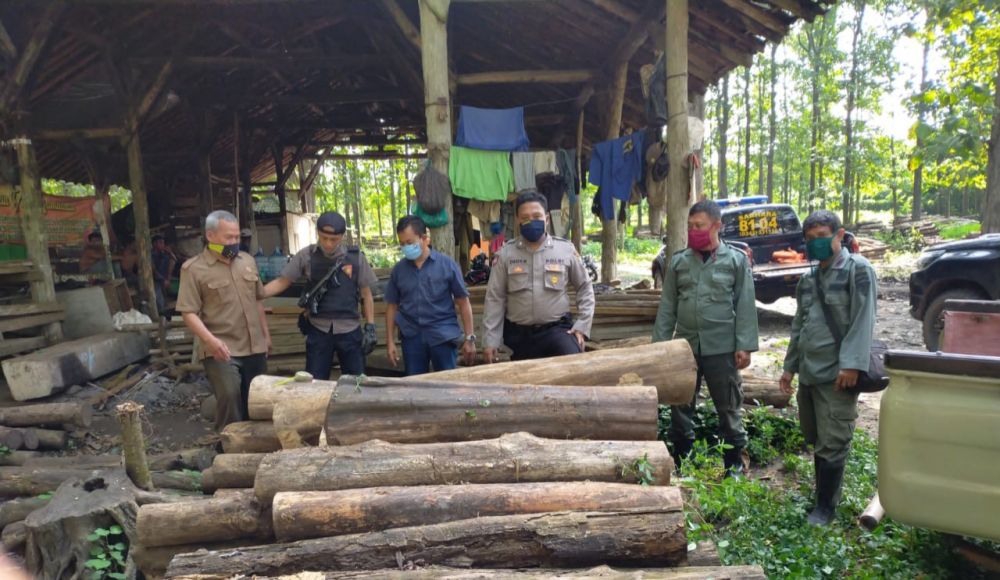 Polisi dan Perhutani menunjukkan BB pencurian kayu.SP/les
