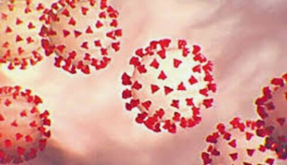 Ilustrasi wujud virus Covid-19