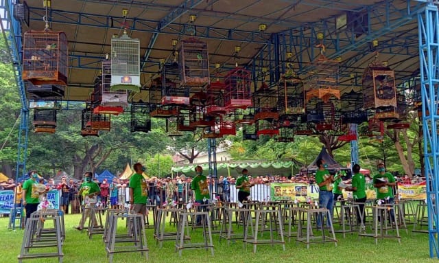 suasana lomba burung yang digelar PBI Kediri berjalan lancar dengan menerapkan protokol kesehatan