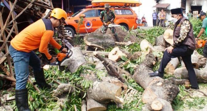 BPBD Kabupaten Sidoarjo membersihkan pohon tumbang akibat putting beliung SP/Beritajatim