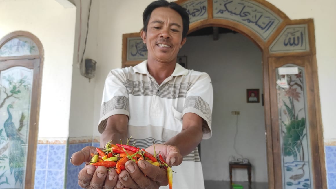 Salah satu petani lombok asal Desa Pucuk, Kecamatan Dawarblandong, Kabupaten Mojokerto. SP/DWI 